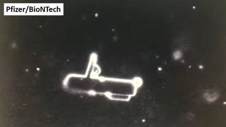 Contamination of Vaccines